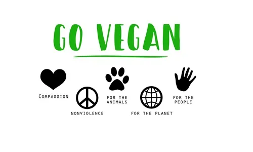 Vegane Haarpflege und Friseurprodukte: Go vegan!