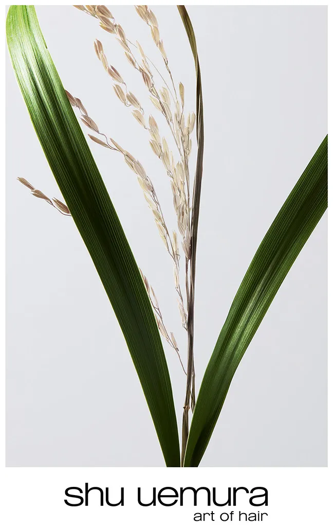Shu Uemura Ultimate Reset Shampoo
