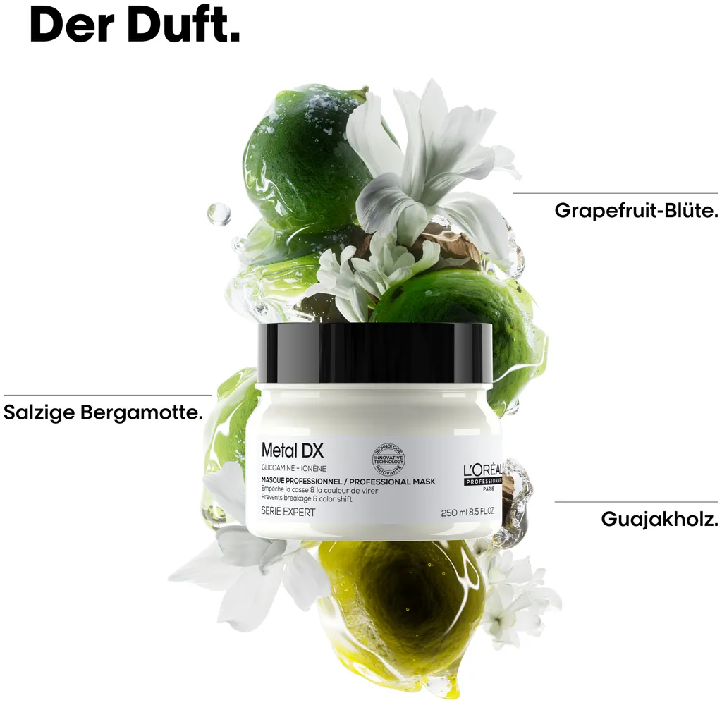 L'Oréal Série Expert Metal DX Maske