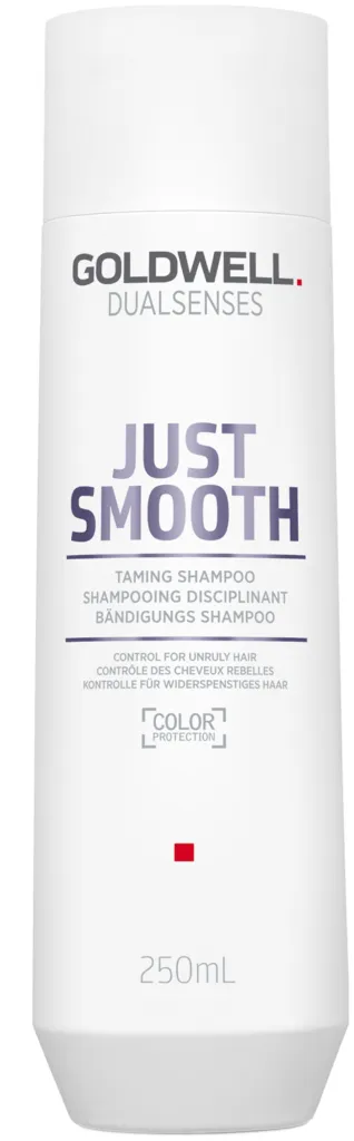 Goldwell Dualsenses Just Smooth Shampoo