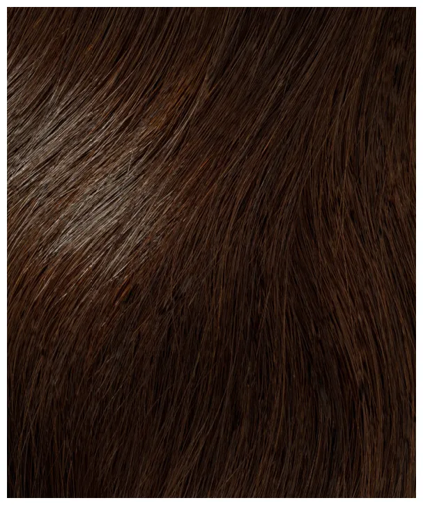 InterHair Extensions 35cm