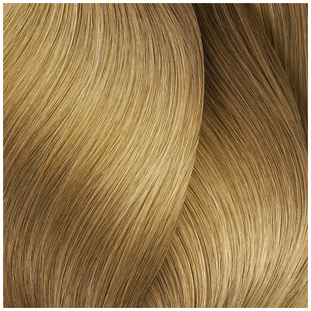 L'Oréal Professionnel Paris iNOA