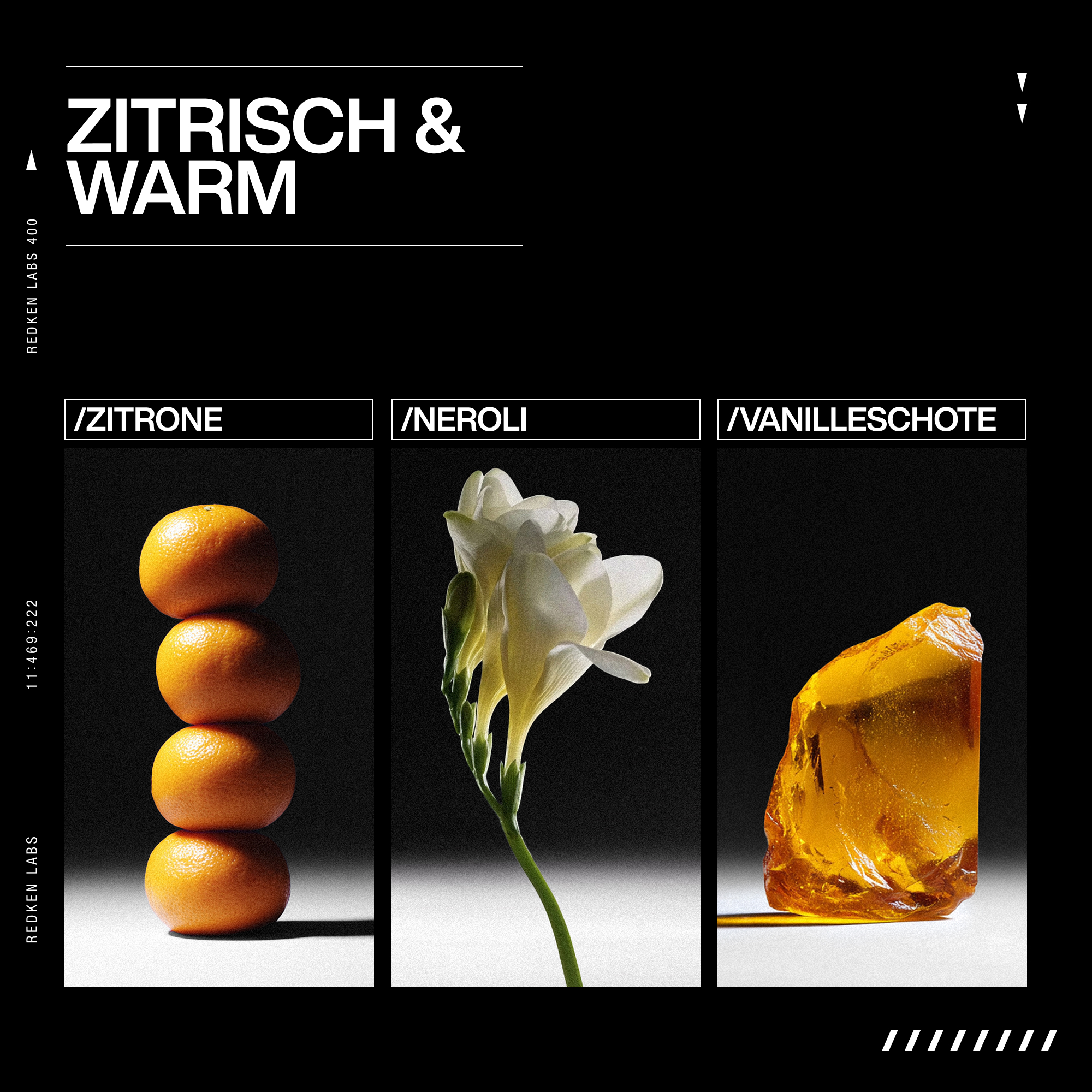 Redken Acidic Grow Full System Scalp & Hair Serum