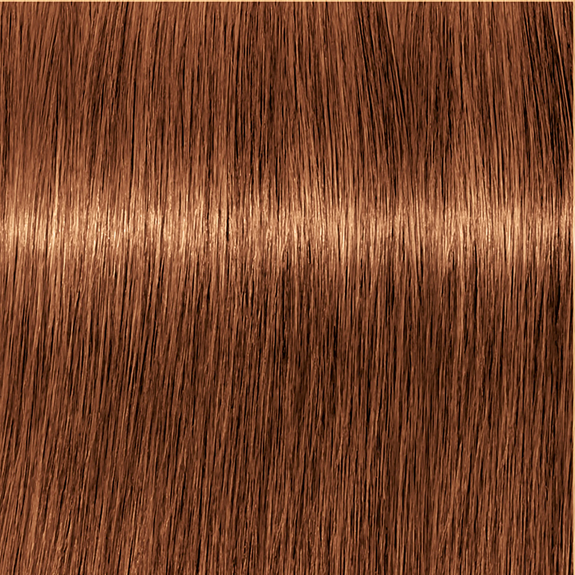 Schwarzkopf Igora Royal