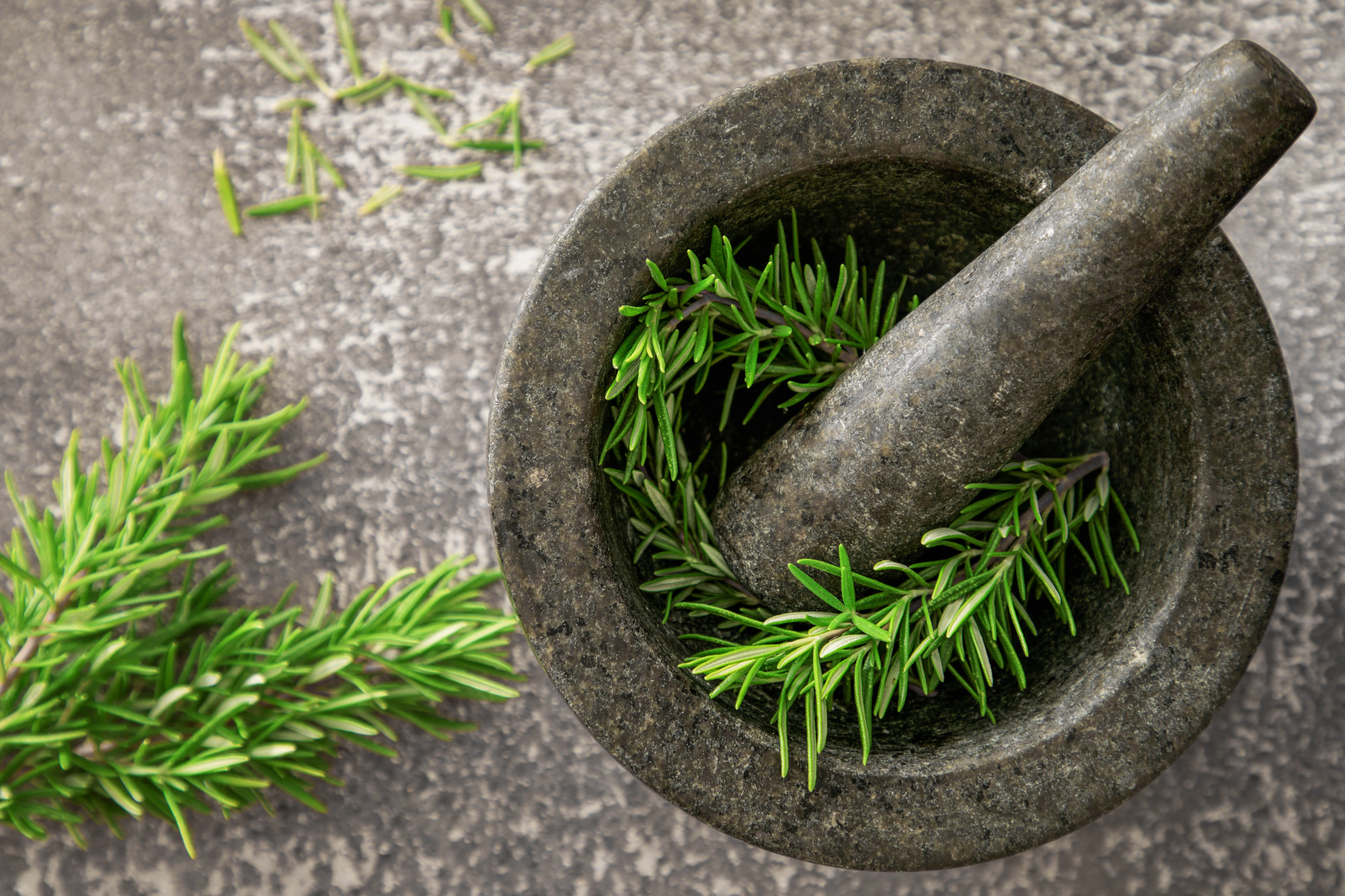 Schüssel mit Mörser in der Rosmarin liegt