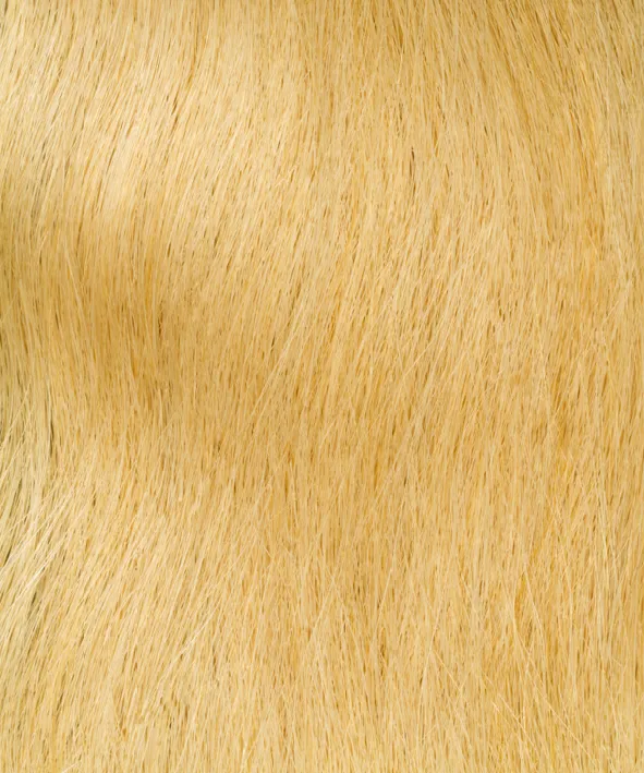 Gold Fever Bonding Extensions 45 cm