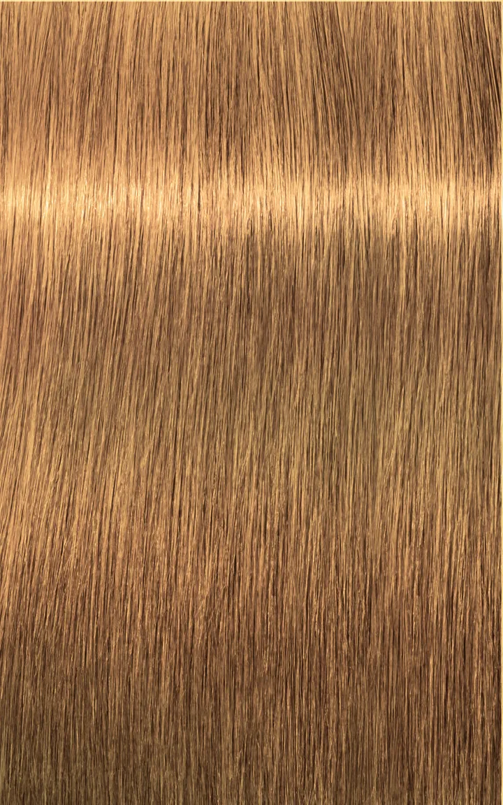 Schwarzkopf Igora Royal Absolutes