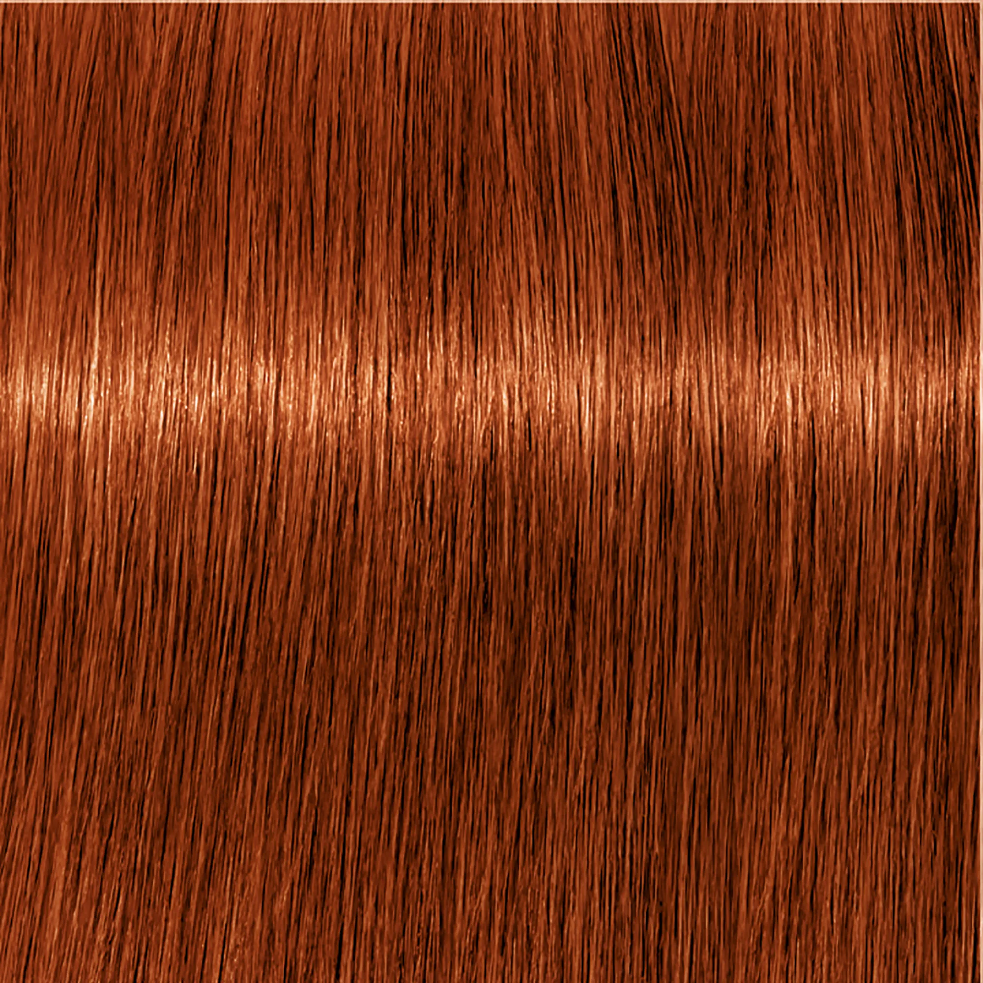 Schwarzkopf Igora Royal