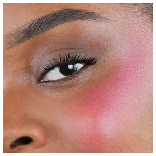 Fleeky Blush Stick