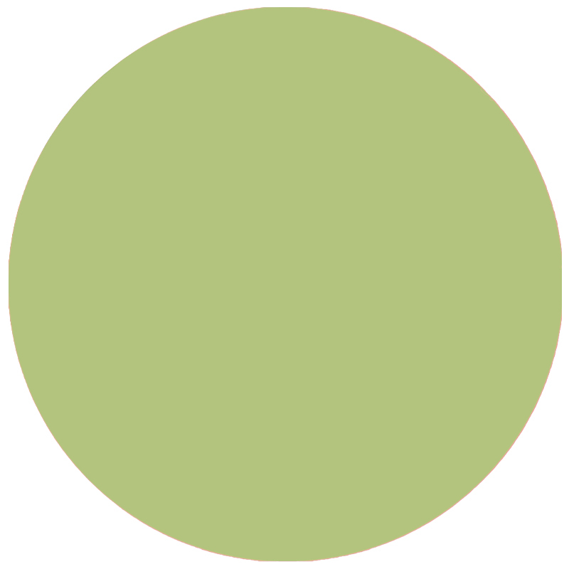 Alessandro Striplac Peel or Soak Oriental Spirit