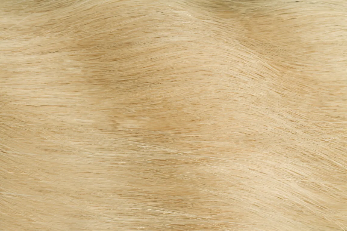 Gold Fever Hair Tapes 55 cm