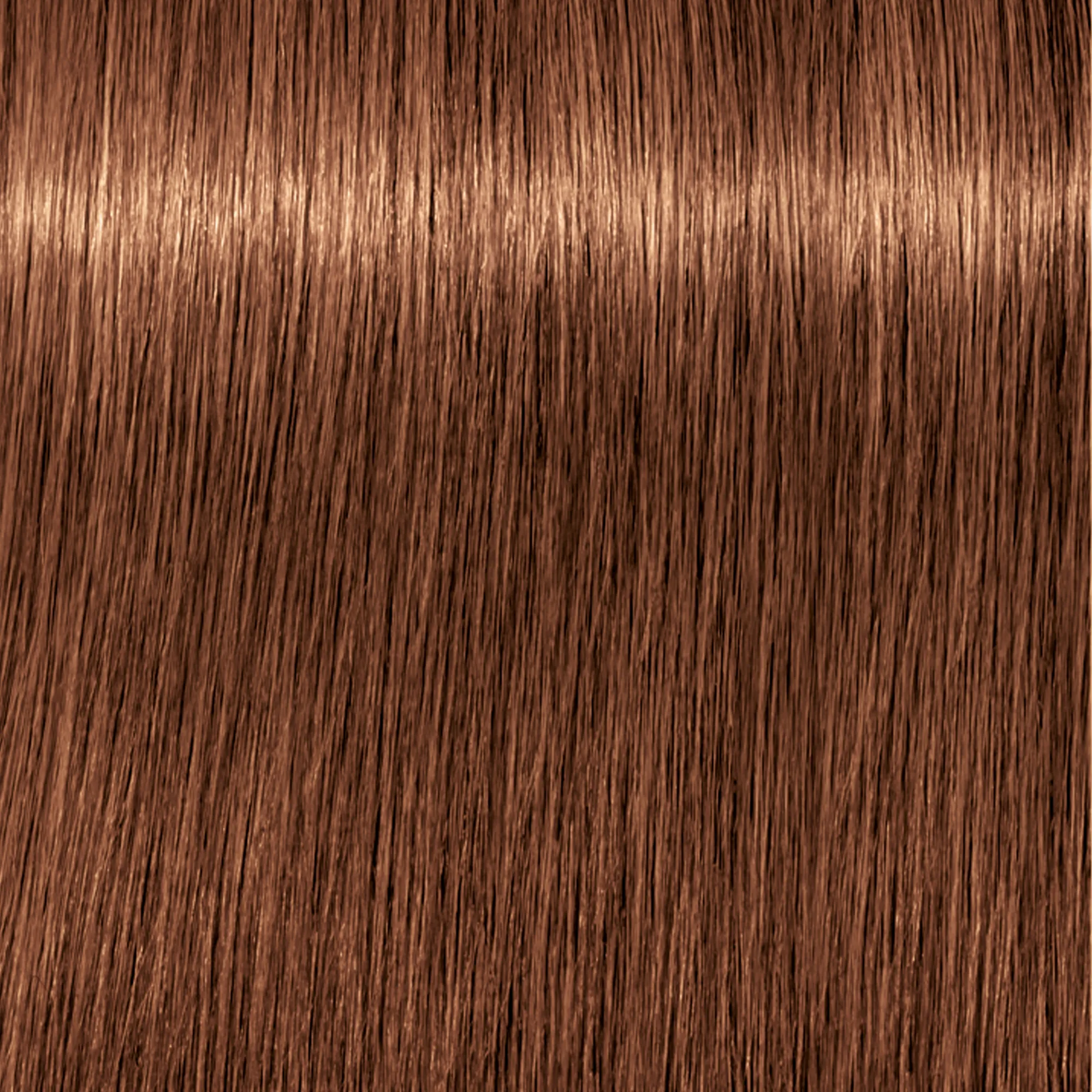 Schwarzkopf Igora Royal