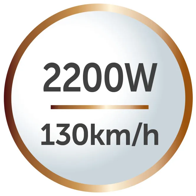 Remington Supercare PRO 2200 AC Haartrockner AC7200