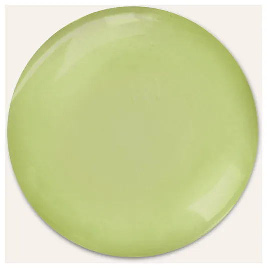 Rausch Fett-Stopp Shampoo mit Meerestang