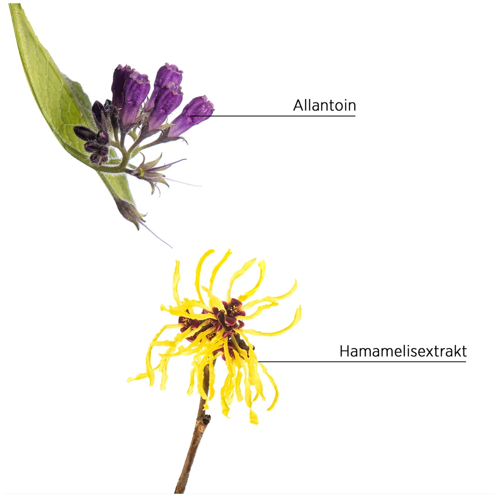 System Professional Lipid Code Purify Lotion