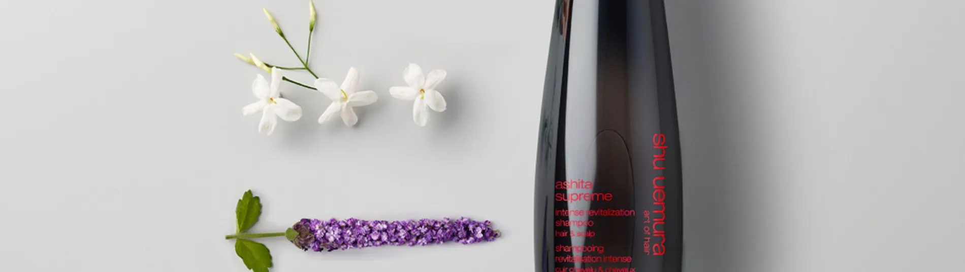 Shu Uemura Ashita Supreme Linienbanner