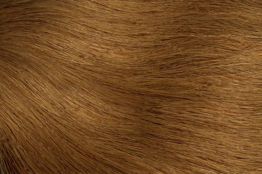 Gold Fever Hair Tapes 55 cm